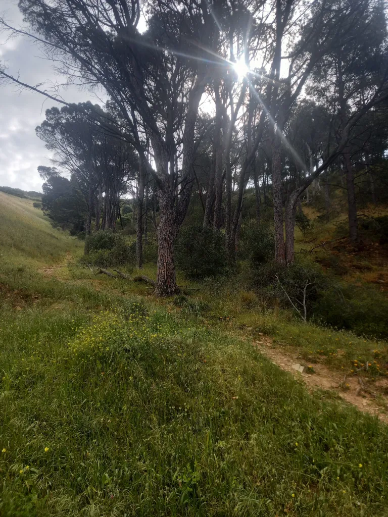 Higher ways